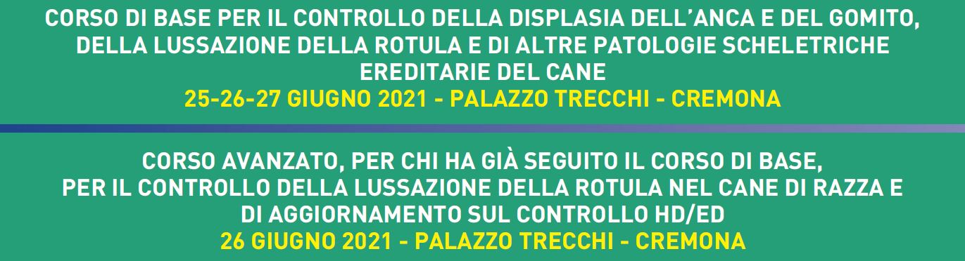 CORSO FSA GIUGNO 2021 - ISCRIZIONI CHIUSE